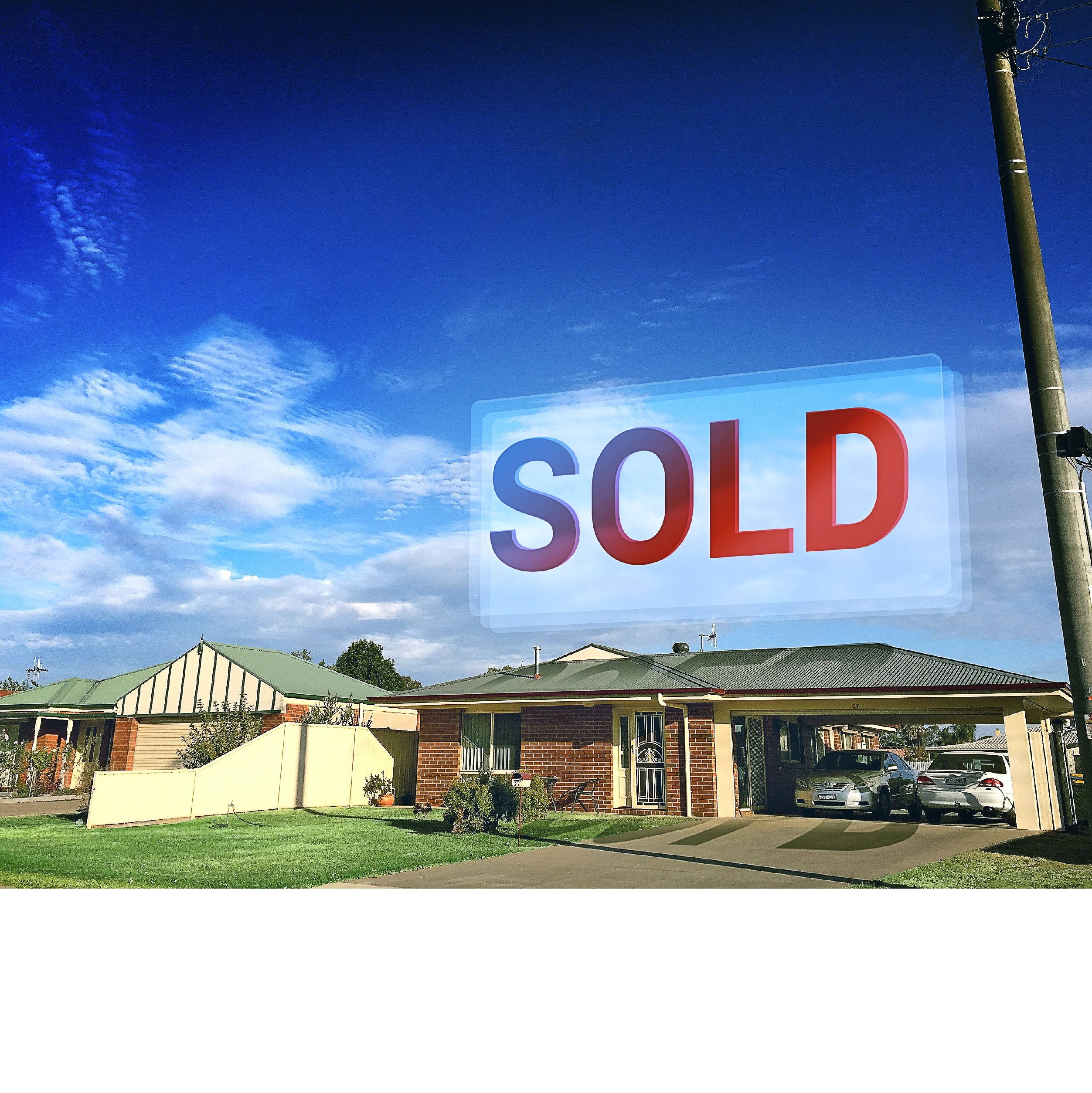 Auction bidding 101 | Wealth Empowerment International